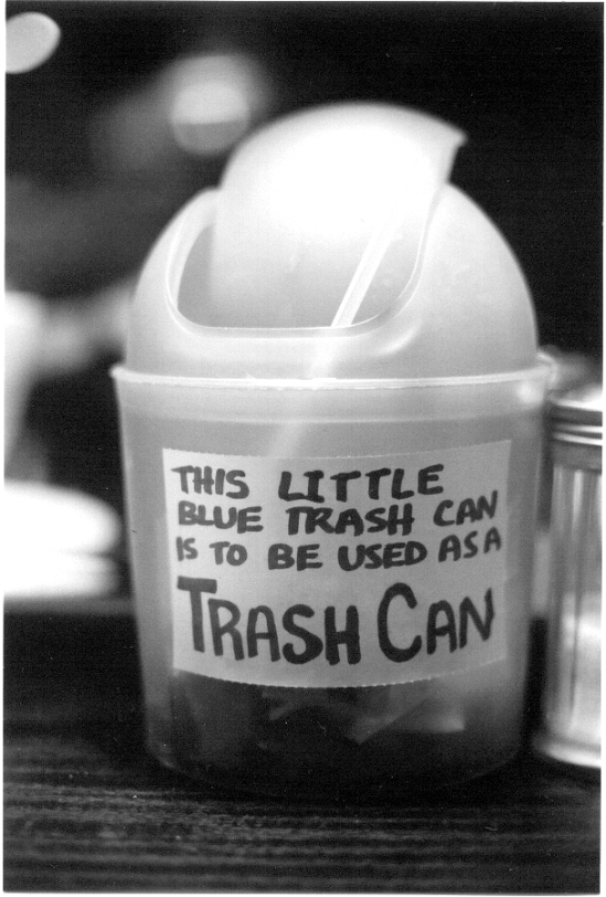 little blue trash can (2003)